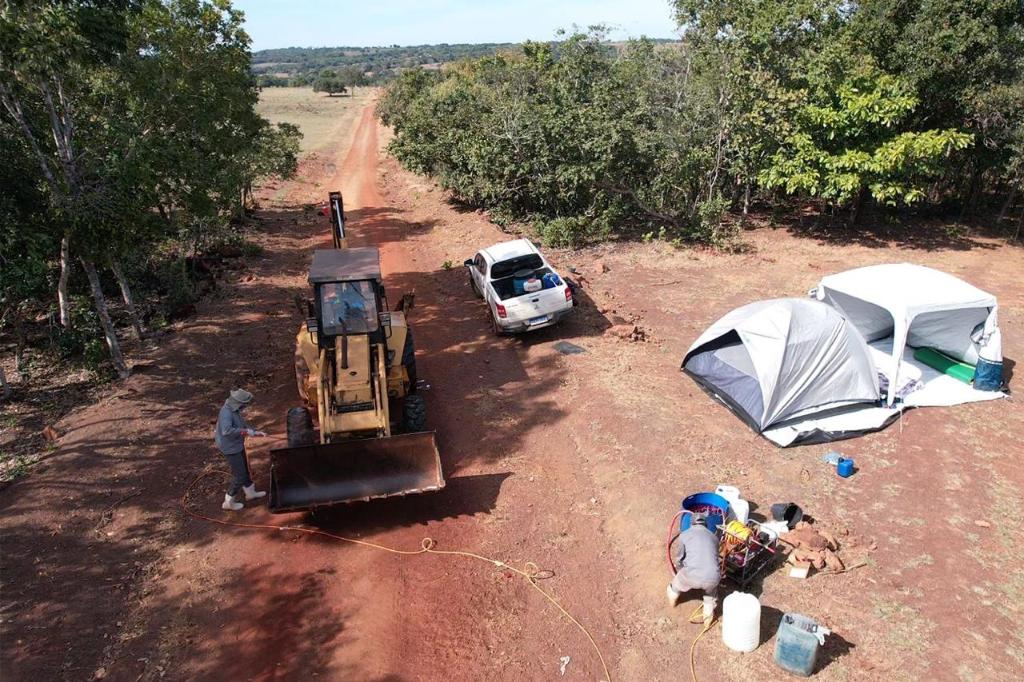 Ministério confirma caso de gripe aviária em Mato Grosso; Indea abate de aves e anuncia outras medidas