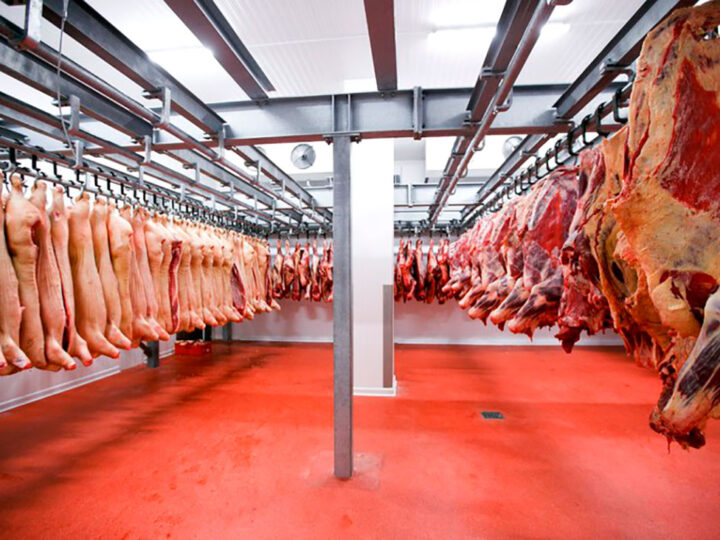 Mato Grosso tem novo recorde na exportação de carne bovina