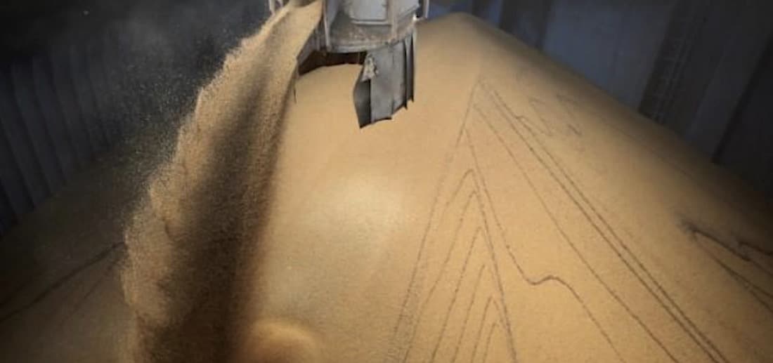 Preço do óleo e farelo da soja sobem em Mato Grosso