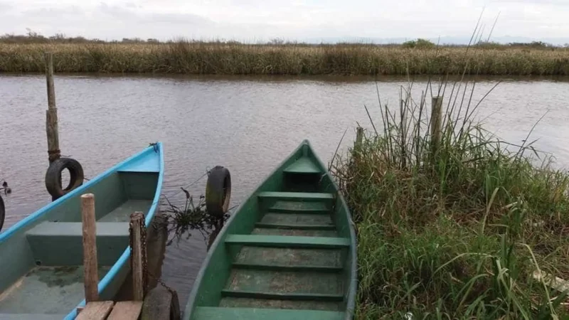 Pesquisadora é achada morta após cair em rio durante coleta de água no RS
