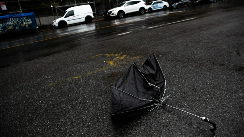 Enel diz que deve restabelecer o fornecimento de energia em SP até a noite de domingo, 14