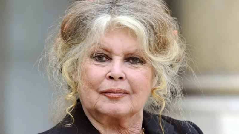 Morre a atriz Brigitte Bardot, ícone do cinema francês, aos 91 anos