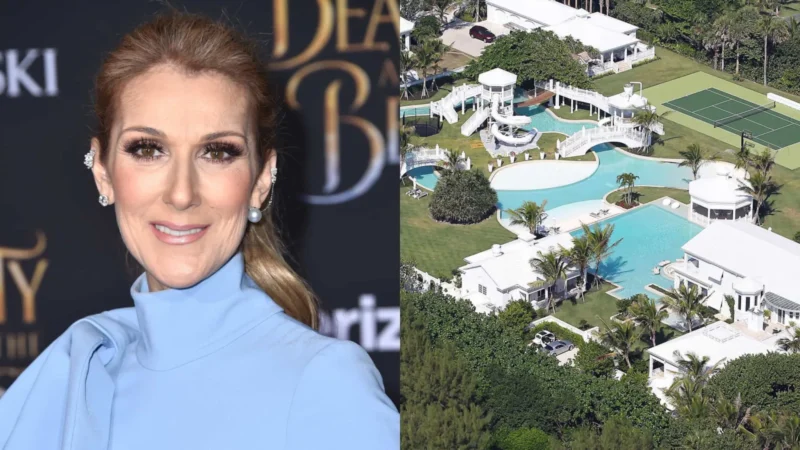 Mansões de famosos que ninguém quis comprar