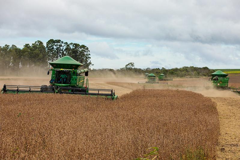 Mesmo com clima adverso, Mato Grosso mantém liderança e deve colher quase 108 milhões de toneladas de grãos