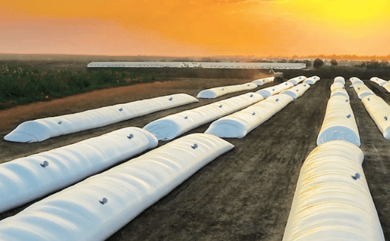 Estudo da UFMT Sinop avalia benefícios do ‘silo bolsa’ como redução de perdas e aumento da qualidade