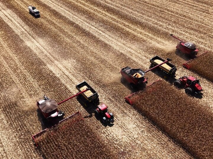 Brasil deve fechar safra de 2025 com recorde de 346 milhões de toneladas, prevê IBGE