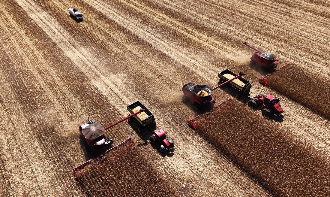 Brasil deve fechar safra de 2025 com recorde de 346 milhões de toneladas, prevê IBGE