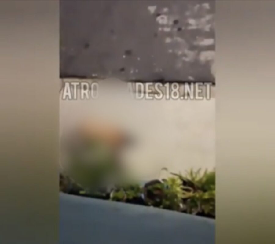 Vídeo inusitado de homem nu andando de quatro viraliza e gera repercussão nas redes sociais; Veja