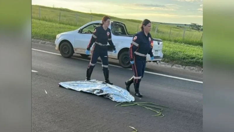 Médica do Samu é afastada após declarar morte de atropelada que ainda estava viva em rodovia