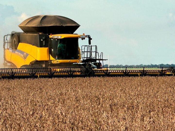 Soja disponível em Mato Grosso tem leve alta; colheita avança