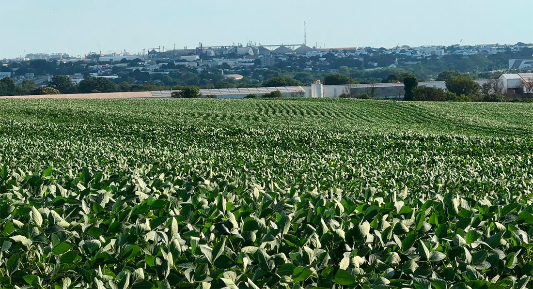 Custo de produção da soja em Mato Grosso sobe 0,54%