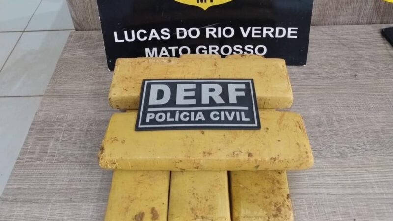 Polícia Civil encontra maconha enterrada em quintal de casa em Lucas do Rio Verde
