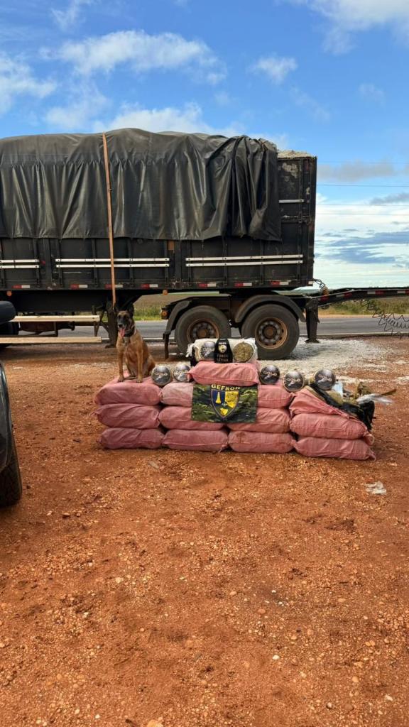 Ação integrada apreende mais de 400 kg de drogas e causa prejuízo milionário ao tráfico em MT