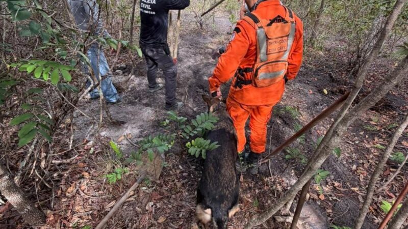 Bombeiros encontram corpo enterrado em área de mata em Primavera do Leste
