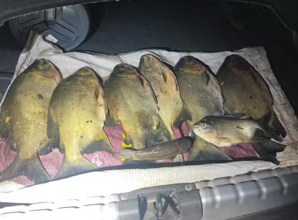 Dupla é presa após invadir pesqueiro e furtar peixes em Jaciara