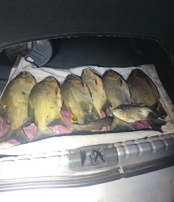 Dupla é presa após invadir pesqueiro e furtar peixes em Jaciara