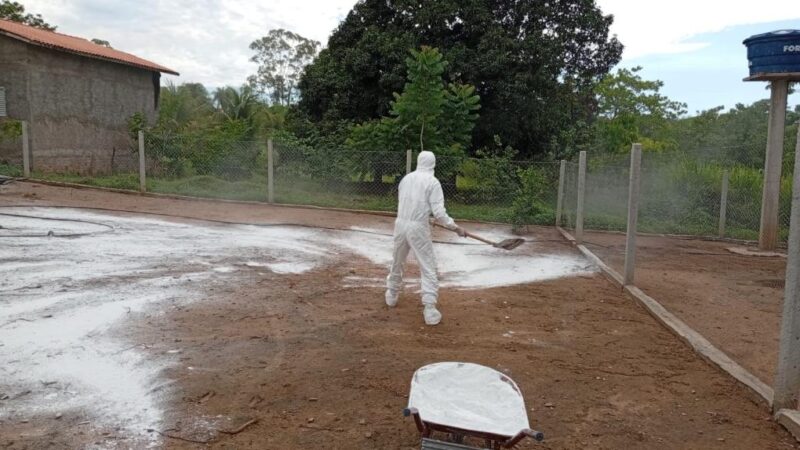 Após caso positivo, Indea Mato Grosso abate 339 aves e conclui ações de combate ao foco de gripe aviária