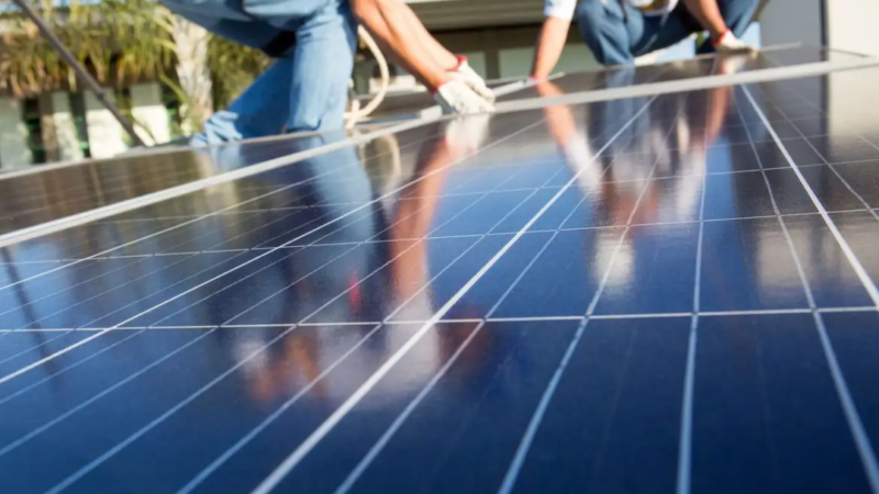 Eco Invest Brasil registra maior leilão do programa