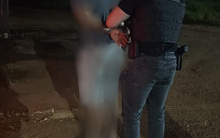 Polícia Civil e Sema flagram transporte e venda ilegal de madeira em Novo Mundo