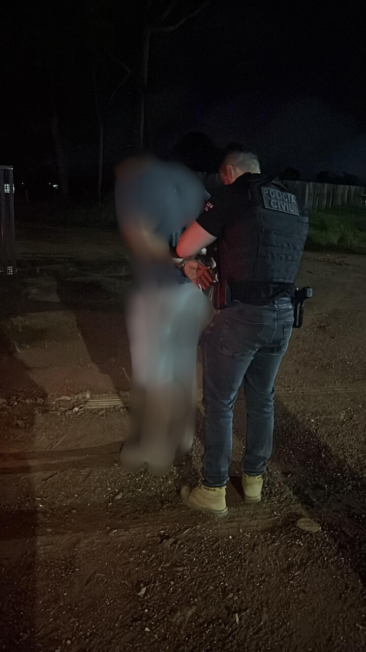 Polícia Civil e Sema flagram transporte e venda ilegal de madeira em Novo Mundo