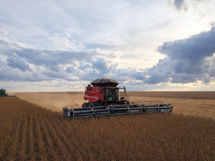 Fazenda em MT entra à venda por R$ 13 bilhões e pode se tornar uma das maiores negociações do agro no Brasil