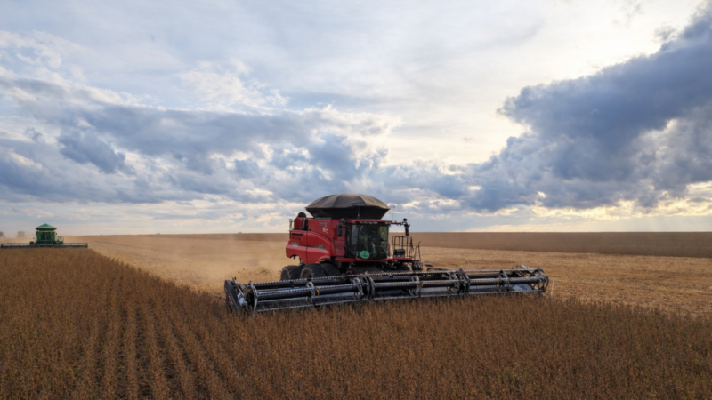 Fazenda em MT entra à venda por R$ 13 bilhões e pode se tornar uma das maiores negociações do agro no Brasil