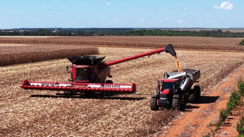 Colheita da soja avança e passa de 65% da área total de Mato Grosso