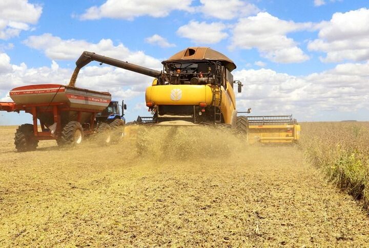 Produção da soja tem previsão de novo recorde