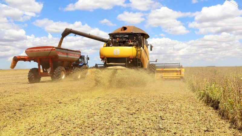 Produção da soja tem previsão de novo recorde