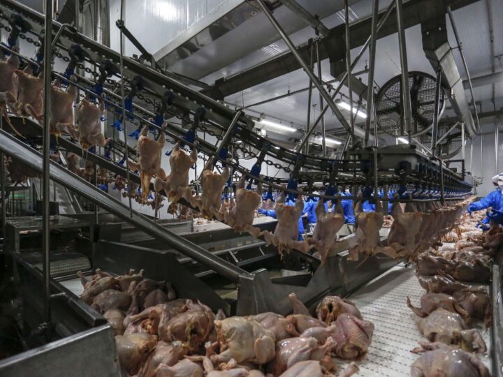 Brasil regulamentará salvaguardas em acordos comerciais