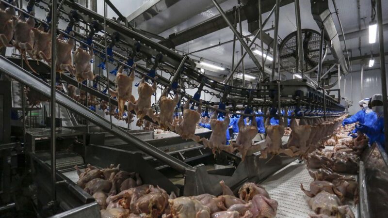 Brasil regulamentará salvaguardas em acordos comerciais