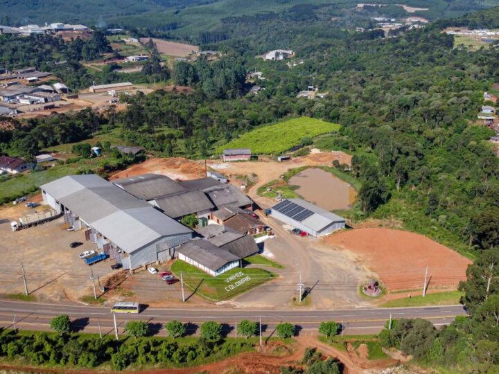 Paraná lança Rota Uva & Vinho para impulsionar vitivinicultura