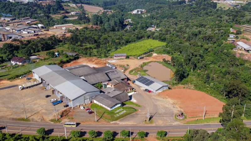 Paraná lança Rota Uva & Vinho para impulsionar vitivinicultura