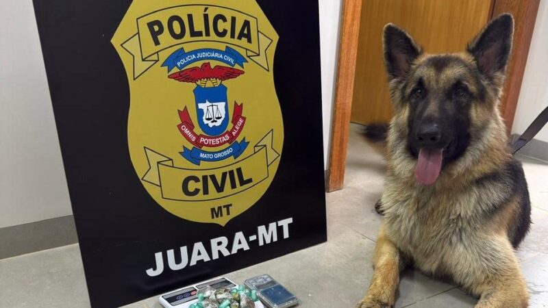 Polícia Civil prende dois homens por tráfico de drogas durante operação em Juara