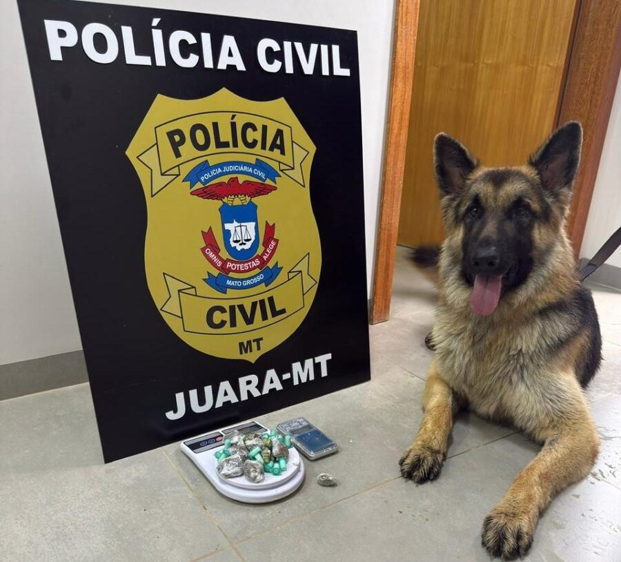 Polícia Civil prende dois homens por tráfico de drogas durante operação em Juara