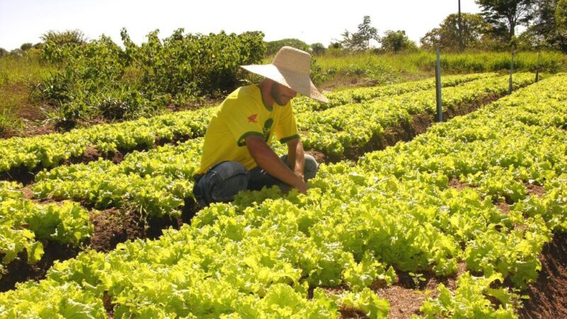 Elaboração do plano municipal de agricultura familiar será nesta semana em Nova Mutum