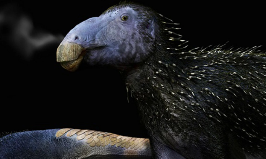 Descoberta histórica: dinossauro com espinhos ocos inéditos é encontrado na China