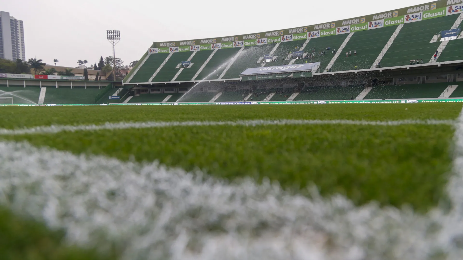 Palmeiras abre mão de R$ 14 milhões para trocar gramado do Allianz Parque