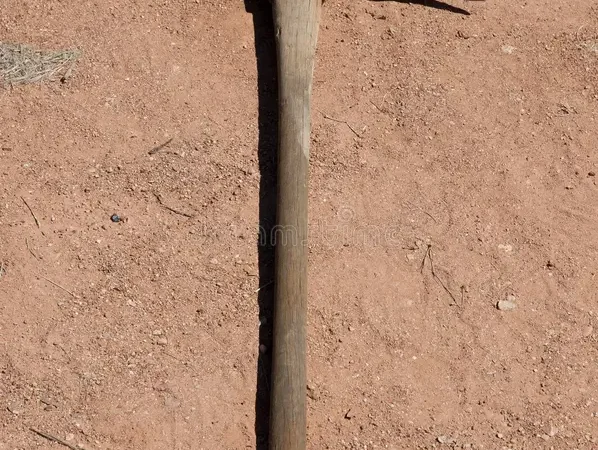 Jovem é atacado com picareta enquanto jantava em Canarana; suspeito é preso