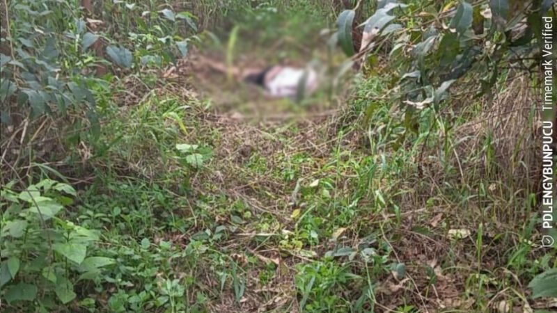 Ação conjunta entre Polícias Civil e Militar resulta na rápida elucidação de homicídio em Matupá