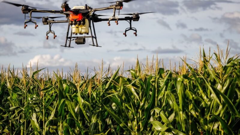 Sul lidera em número de ambientes de inovação para o agro