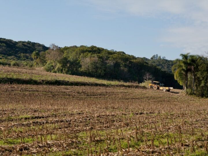 PIB gaúcho cresce 0,9% em 2025