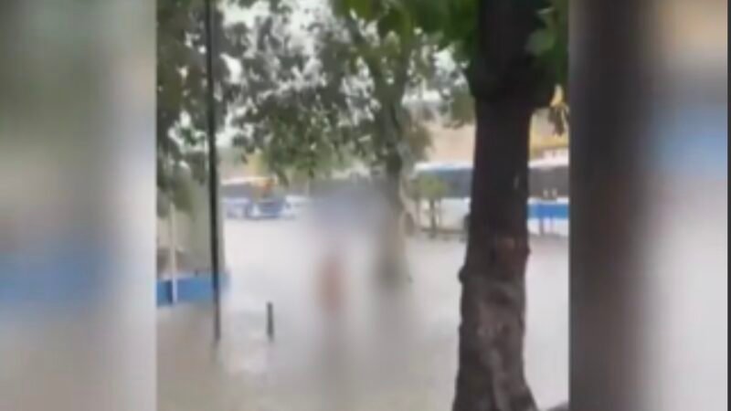 Cena curiosa: ‘sereia fora do mar’ é vista caminhando nua na chuva; veja vídeo