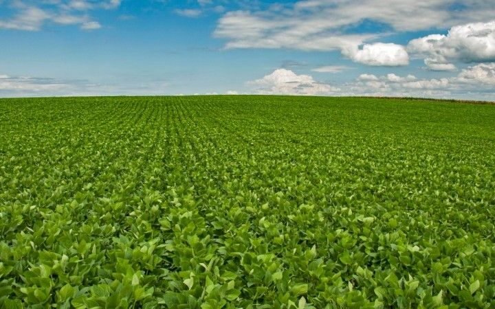 Atividade econômica apresenta alta de 0,8% em janeiro