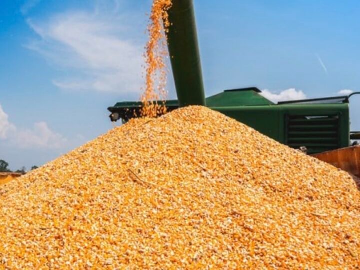 Começa venda da atual safra de milho em Mato Grosso com média de R$ 42, diz IMEA