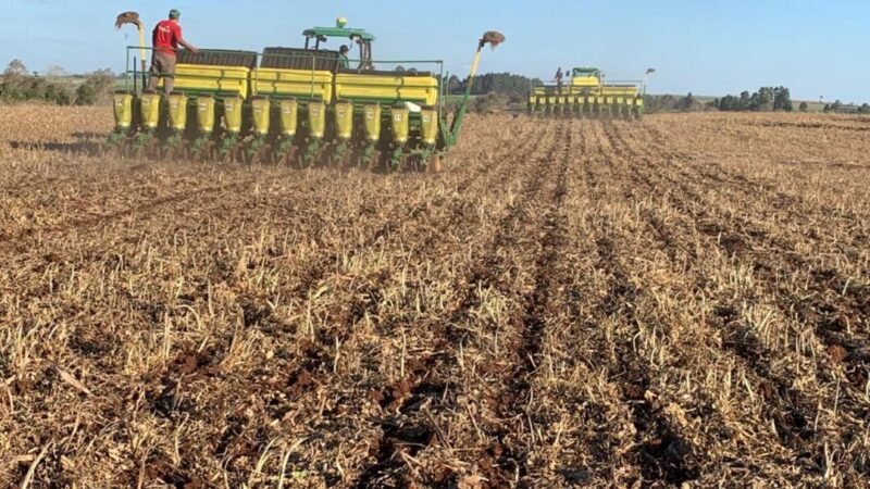 Produção de soja deve ter alta extra de 0,4% no ano