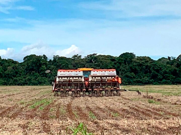 Conflito no Oriente Médio eleva preço da ureia e deve impactar safra em Mato Grosso, diz Imea