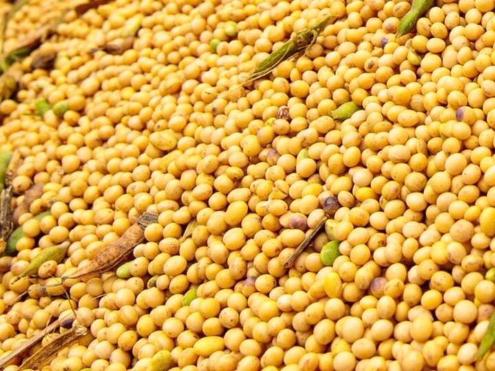 Soja disponível em Mato Grosso sobe 2%