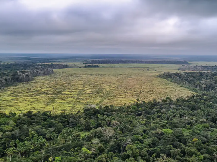 Emissões de gases caem em 2024, mas meta climática segue em risco