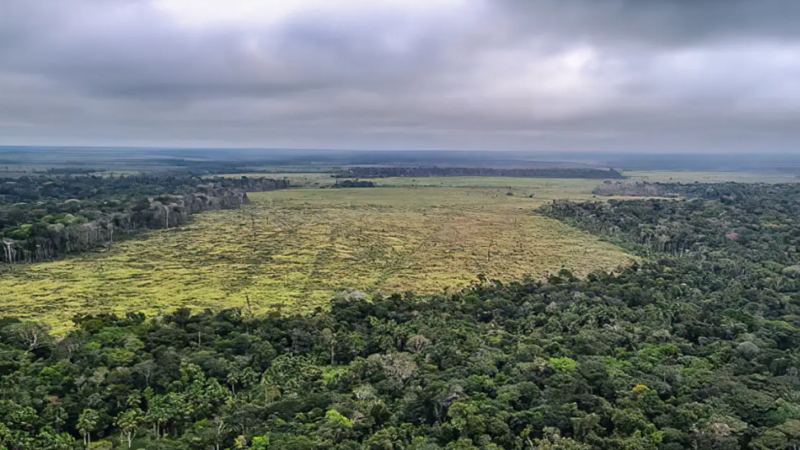 Emissões de gases caem em 2024, mas meta climática segue em risco